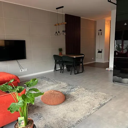 Modern Near Posnania Apartment